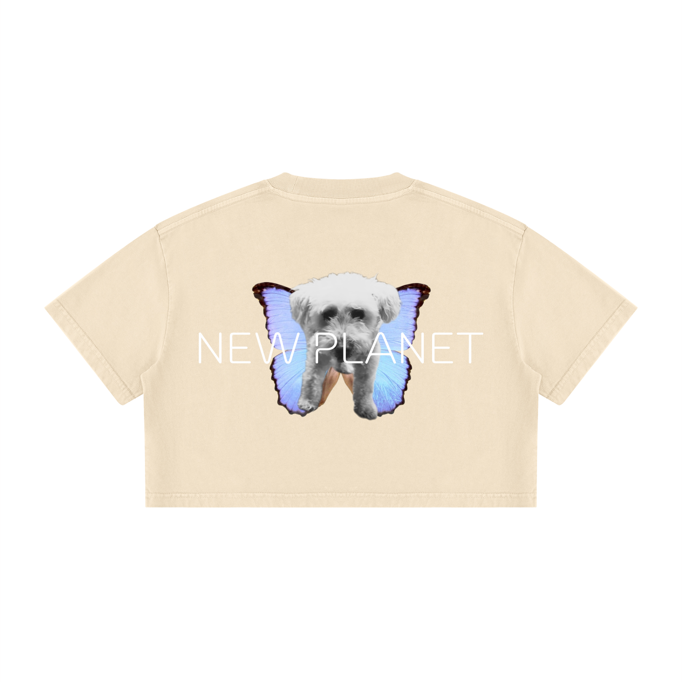Trendy Alternative Women's Box Tee